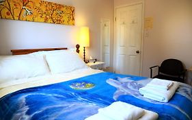 Jenny Guest House