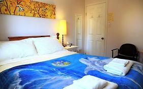 Jenny Guest House